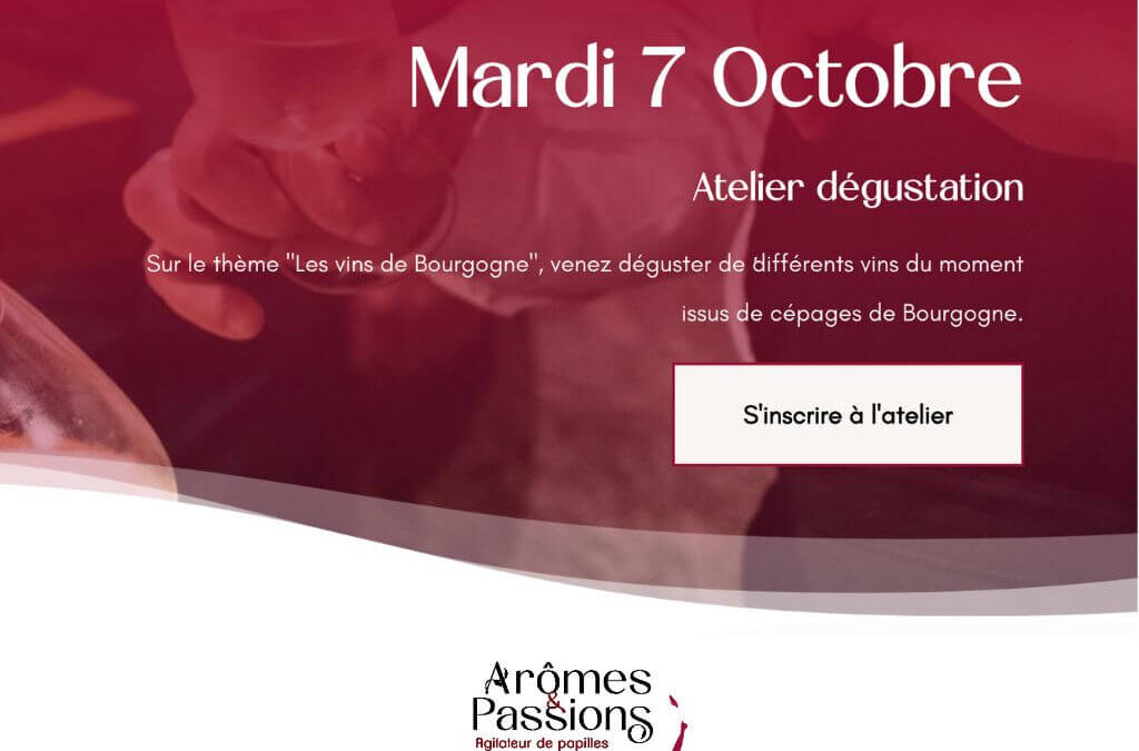 Mardi 7 octobre 2025 : Les vins de la Bourgogne