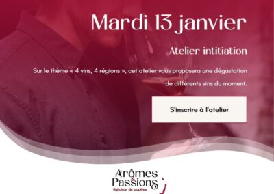 13 Janvier 2026 – 4 vins, 4 régions (Initiation)