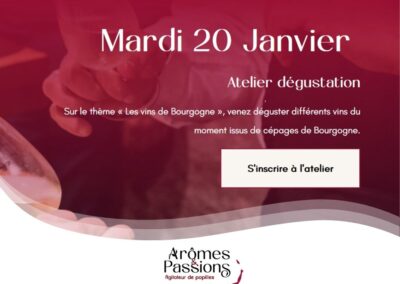 Mardi 20 janvier 2026 – Les vins de Bourgogne
